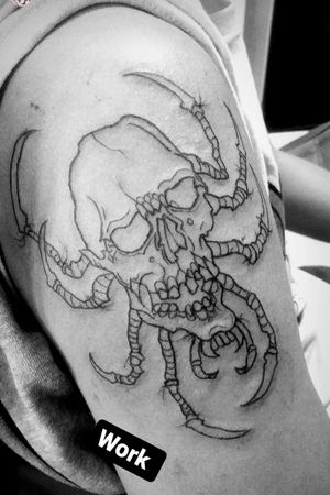 Skull spida #skullspider #skull #spider #outline