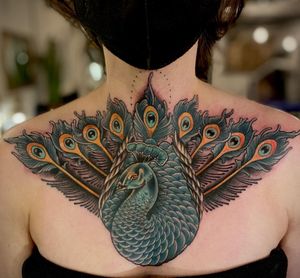 Fantastic peacock! 