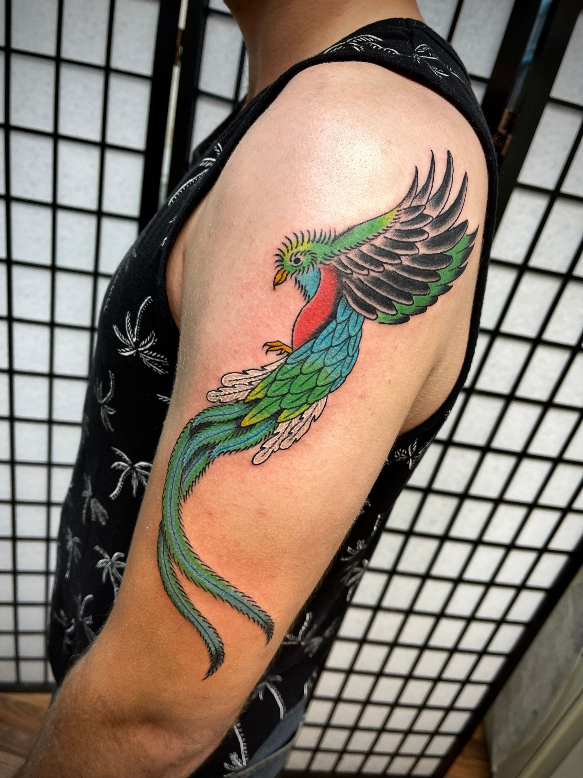 Quetzal PNG  Quetzal Bird  CleanPNG  KissPNG
