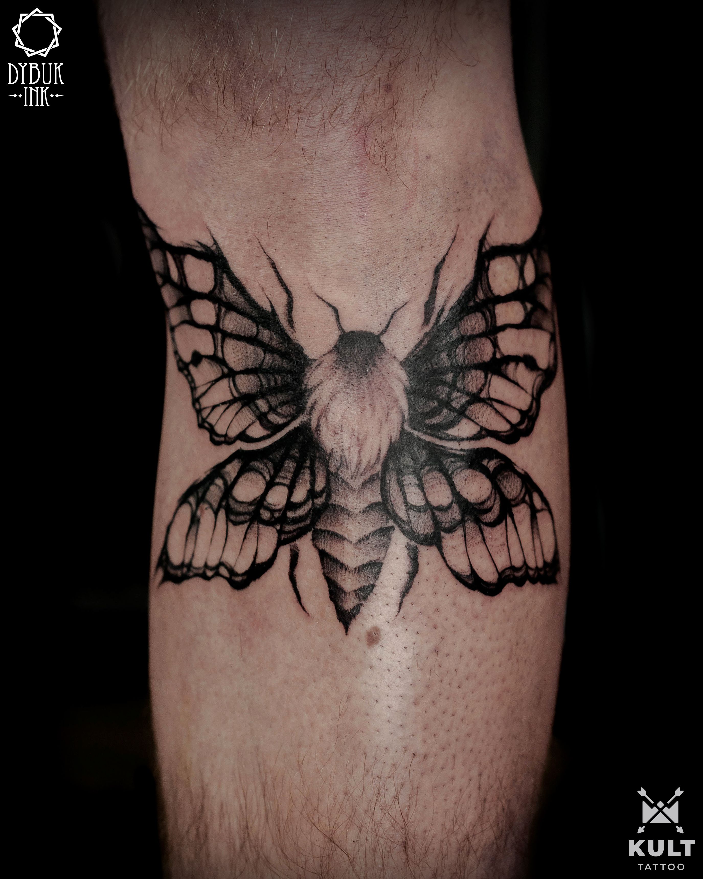 Buy Butterfly Outline Temporary Tattoo  Insect Fake Tattoo  Online in  India  Etsy