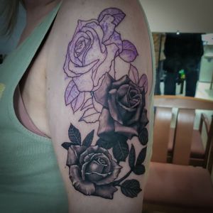 First session on these roses. 