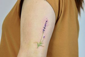 Lavender tattoo