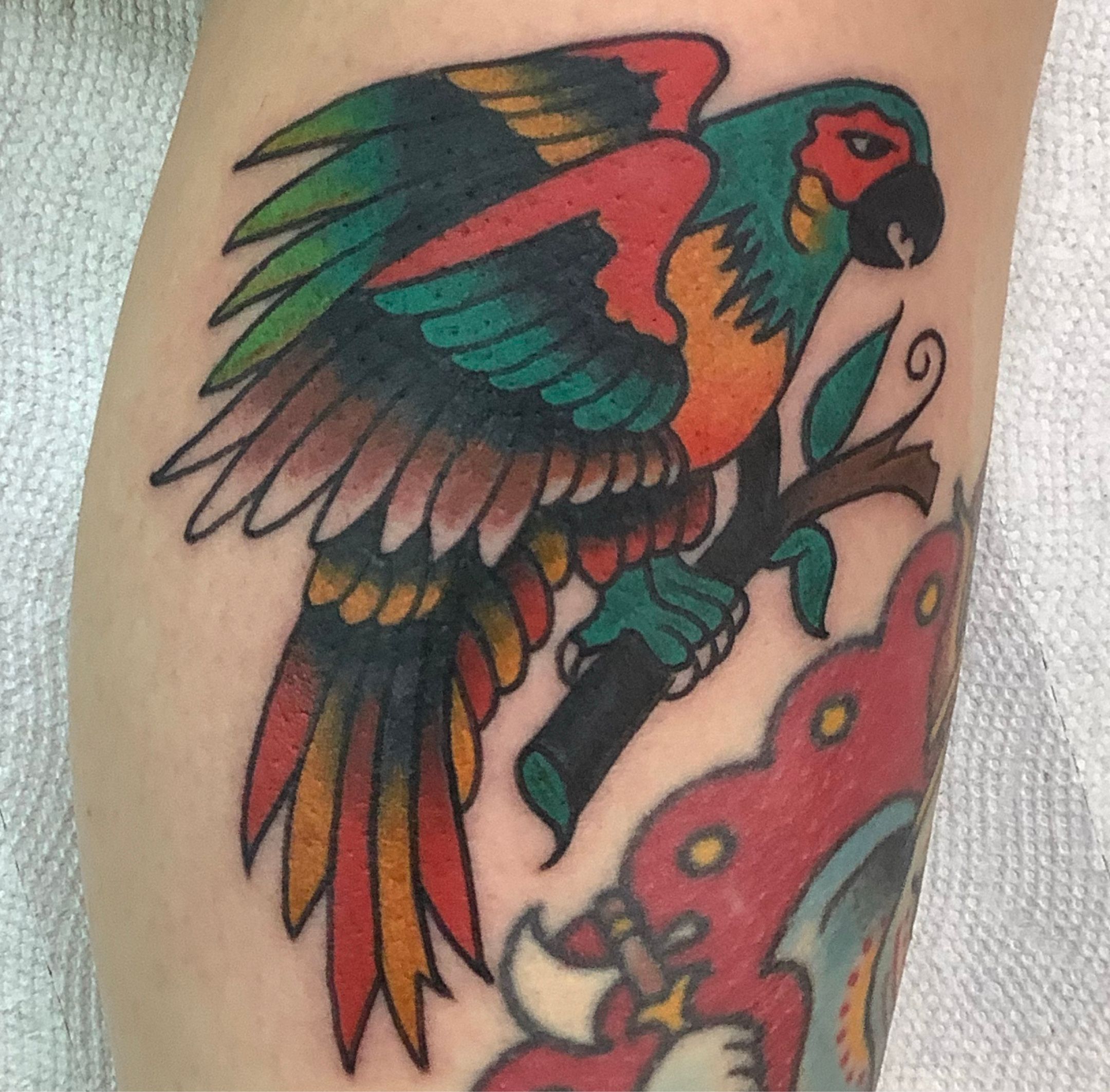 Super fun parrot done recently here at @riversidetattooma! Thanks for  giving it a look! #tattoo #tattoos #traditionaltattoo #traditionalt... |  Instagram