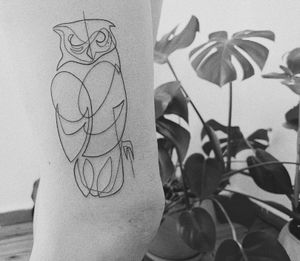 #owltattoo #owl #finelinetattoo #fineline #moganji #minimalism #minimaltattoo #linework #blackboldsociety #blxckink #oldlines #tattoosandflash #darkartists #topclasstattooing #inked #inkedup #tattoodo #tttism