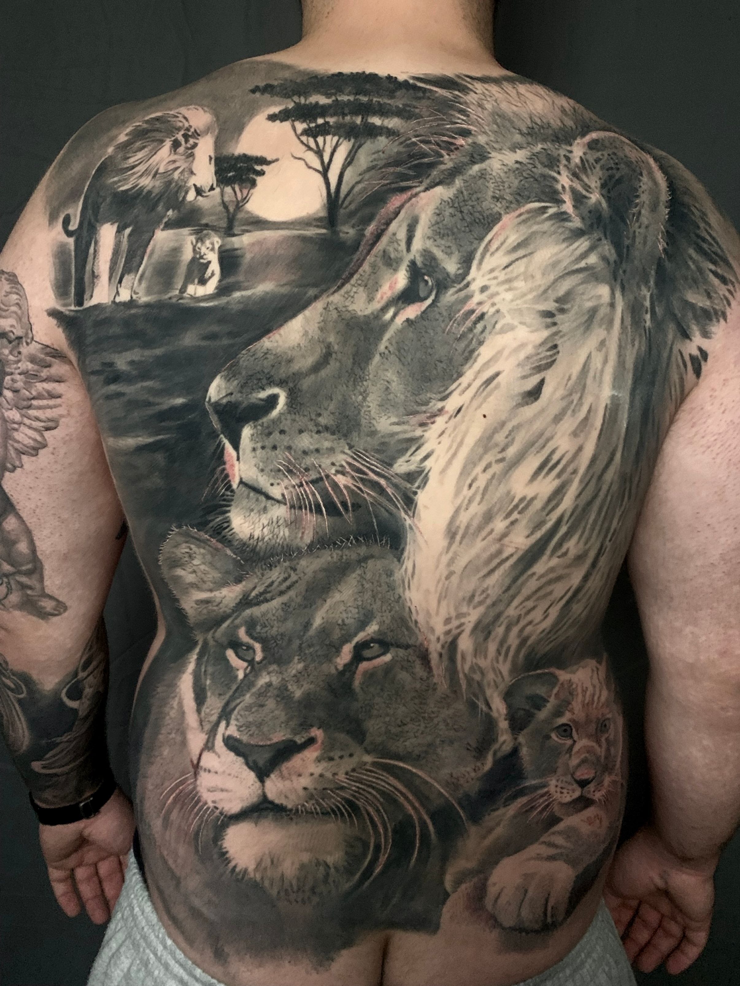 Realistic Black and Grey Lion Pride Tattoo  Evolution Ink Studio   Fayetteville NC  Artist Markos  Mens lion tattoo Lion tattoo Animal  tattoos