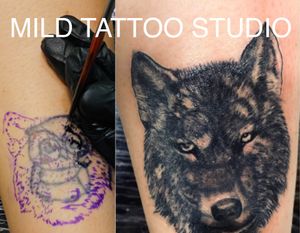 #wolf #wolftattoo #coveruptattoo #tattooart #tattooartist #bambootattoothailand #traditional #tattooshop #at #mildtattoostudio #mildtattoophiphi #tattoophiphi #phiphiisland #thailand #tattoodo #tattooink #tattoo #phiphi #kohphiphi #thaibambooartis  #phiphitattoo #thailandtattoo #thaitattoo #bambootattoophiphihttps://instagram.com/mildtattoophiphihttps://instagram.com/mild_tattoo_studiohttps://facebook.com/mildtattoophiphibambootattoo/MILD TATTOO STUDIO my shop has one branch on Phi Phi Island.Situated in the near koh phi phi police station , Located near  the World Med hospital and Khun va restaurant