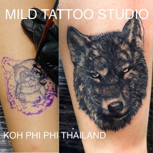 #wolf #wolftattoo #coveruptattoo #tattooart #tattooartist #bambootattoothailand #traditional #tattooshop #at #mildtattoostudio #mildtattoophiphi #tattoophiphi #phiphiisland #thailand #tattoodo #tattooink #tattoo #phiphi #kohphiphi #thaibambooartis  #phiphitattoo #thailandtattoo #thaitattoo #bambootattoophiphihttps://instagram.com/mildtattoophiphihttps://instagram.com/mild_tattoo_studiohttps://facebook.com/mildtattoophiphibambootattoo/MILD TATTOO STUDIO my shop has one branch on Phi Phi Island.Situated in the near koh phi phi police station , Located near  the World Med hospital and Khun va restaurant