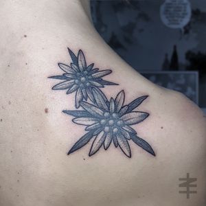 EDELWEISS (cover-up)