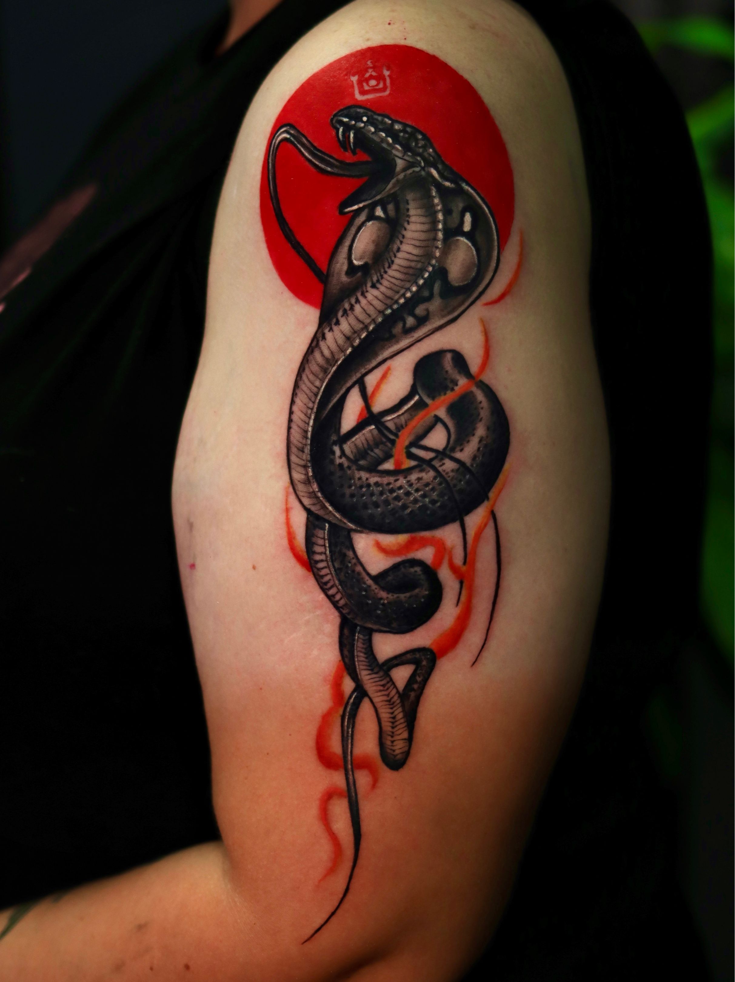 Winged Snake Tattoo