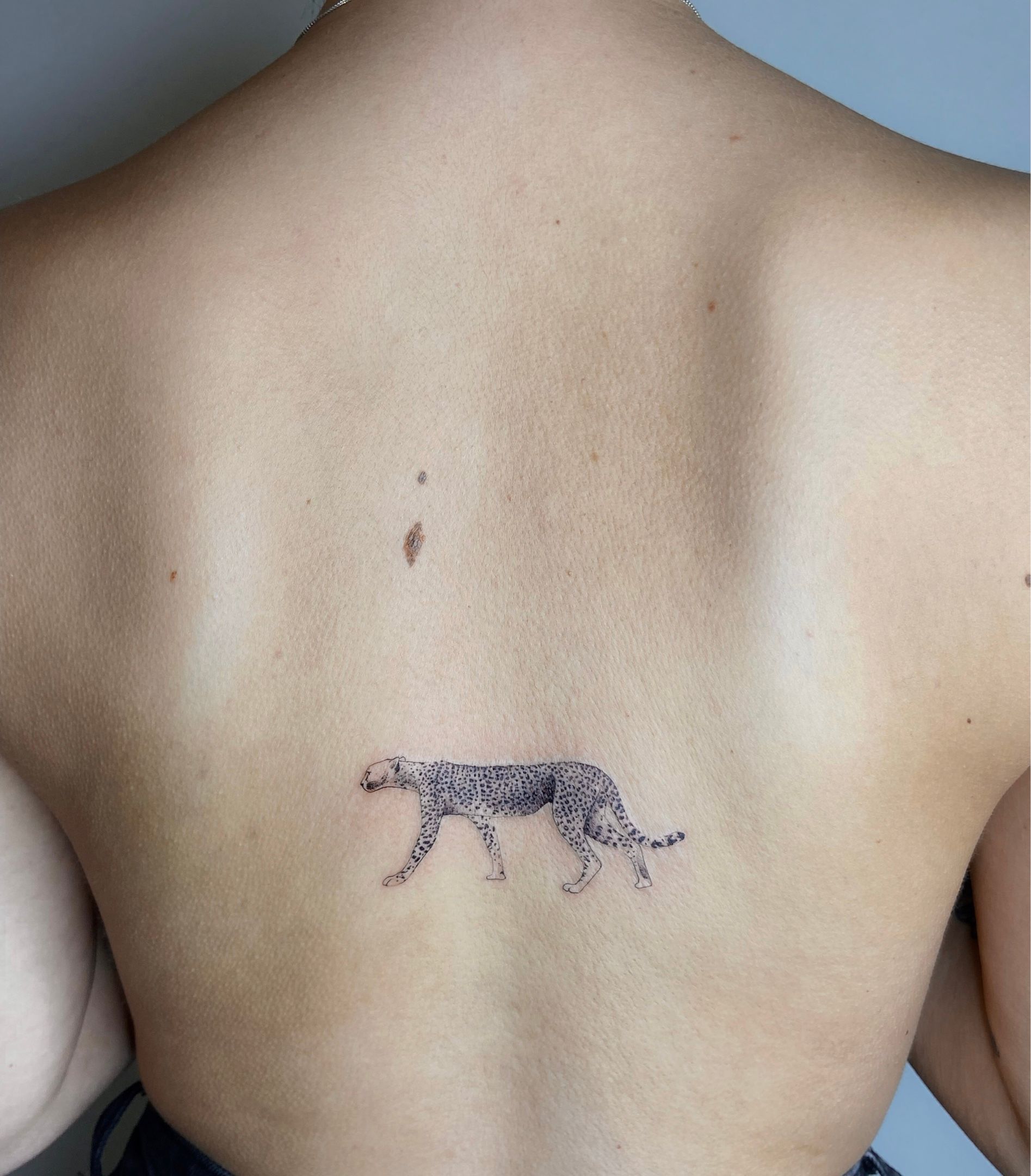 Premium Vector | Handdrawn cheetah tattoo template