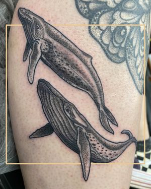 Get a stunning black and gray dotwork whale tattoo on your arm in London. Unique and artistic design.