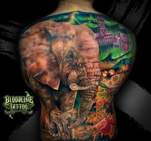 Elephant Colour Tattoo Design
