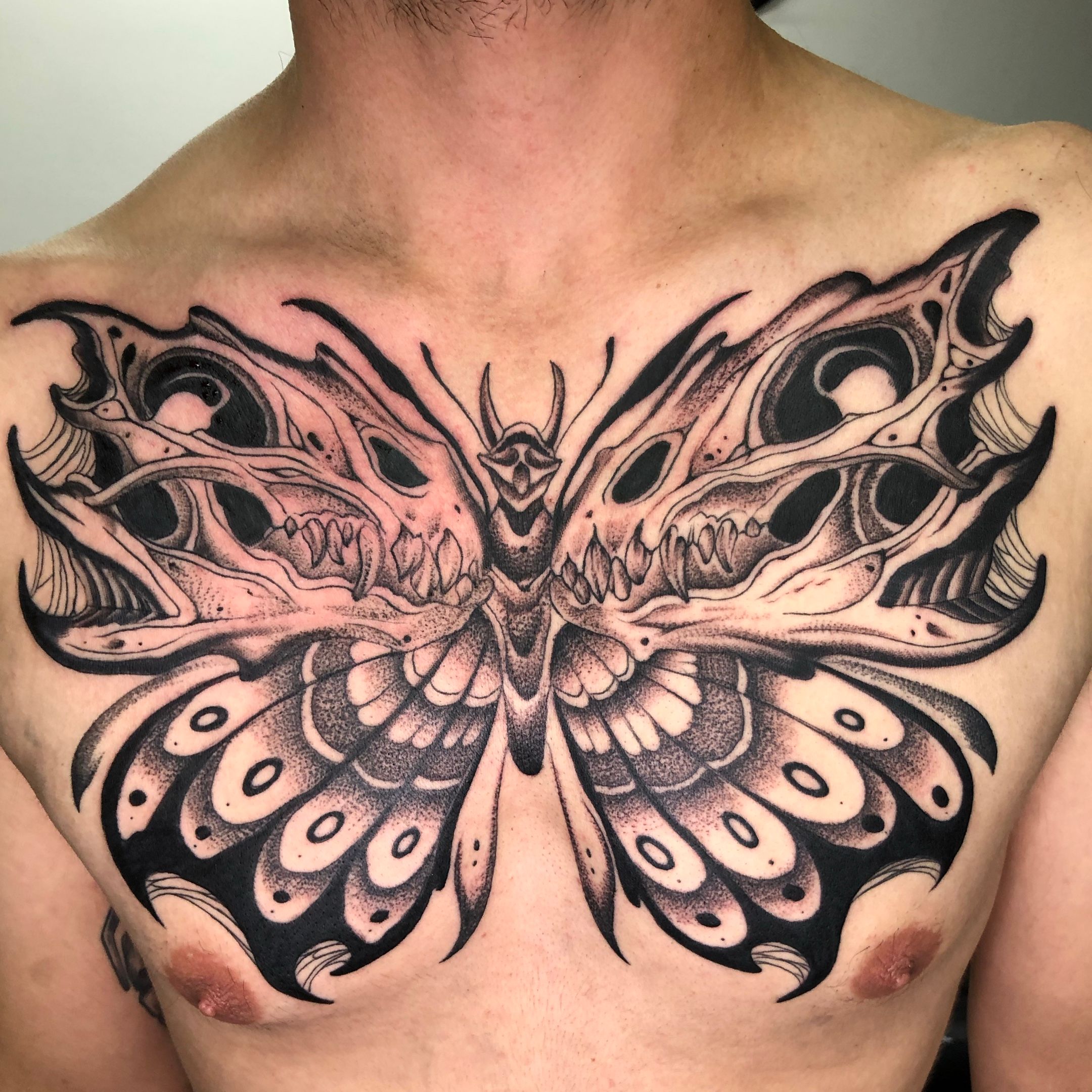 Tattoo uploaded by Deven Brodersen  Skeleton butterfly  Tattoodo