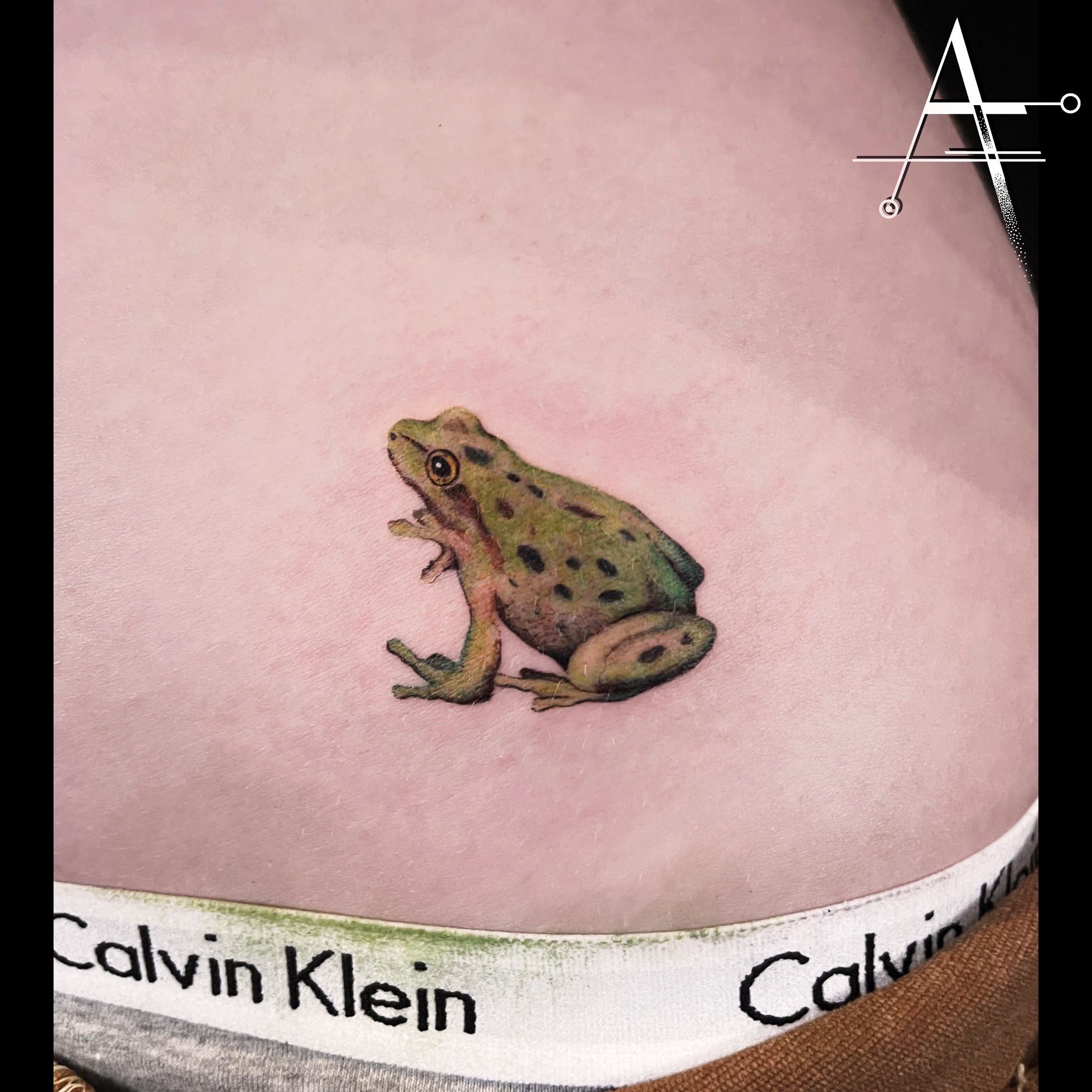 Hidden Frog Tattoo by buoythefishlover  Tattoogridnet