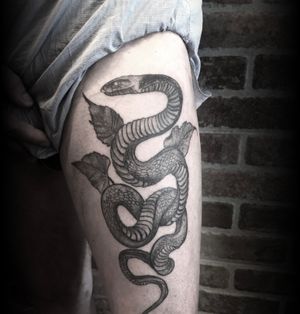 @sfb.ink #tattoos #blacktattooing #blacktattooart #tattoodo #everythingwithlove #snakes #snake #blackwork #simonefrancescobellese
