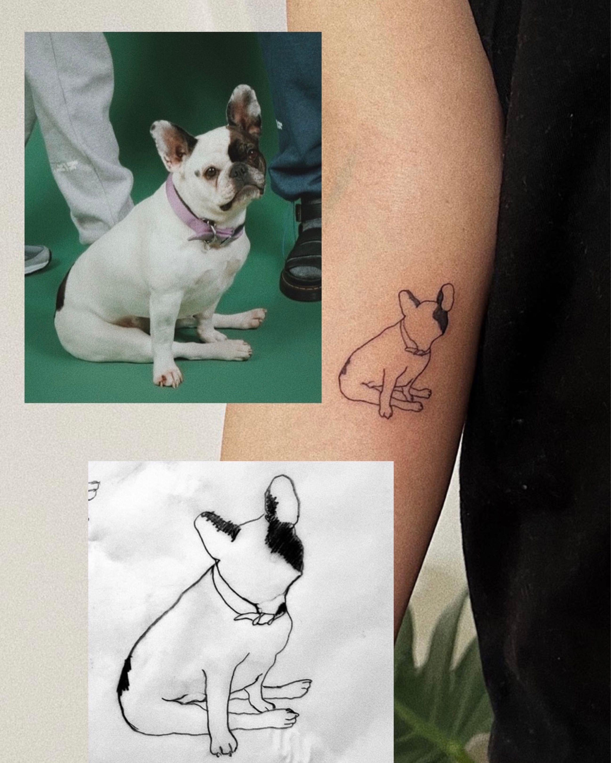 The 15 Most Fabulous French Bulldog Tattoo Ideas  PetPress