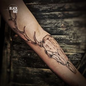 You will never be disappointed by Thais’s work 🦌   Book here : hello@blackhatdublin.com @blan.kinky  #tattooflash #tattooing #tattoosofinstagram #tattoostudio #tattooink #tattoodesign #tattooist #tattooed #inkaddict #tattoolove #tattoos #symboltattoo #tattooartist #tattoolife #tattooshop #tattoo #tattoooftheday #blackwork #inked #bodyart #inkedup #skull #skulltattoo 