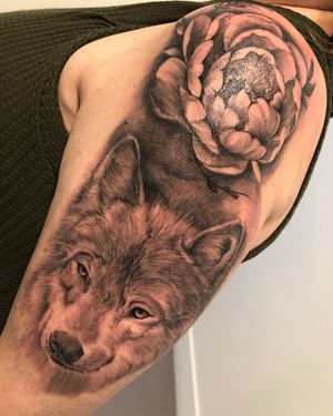 Experience the captivating beauty of a black and gray wolf intertwined with delicate peonies, expertly crafted by Corei on your upper arm.