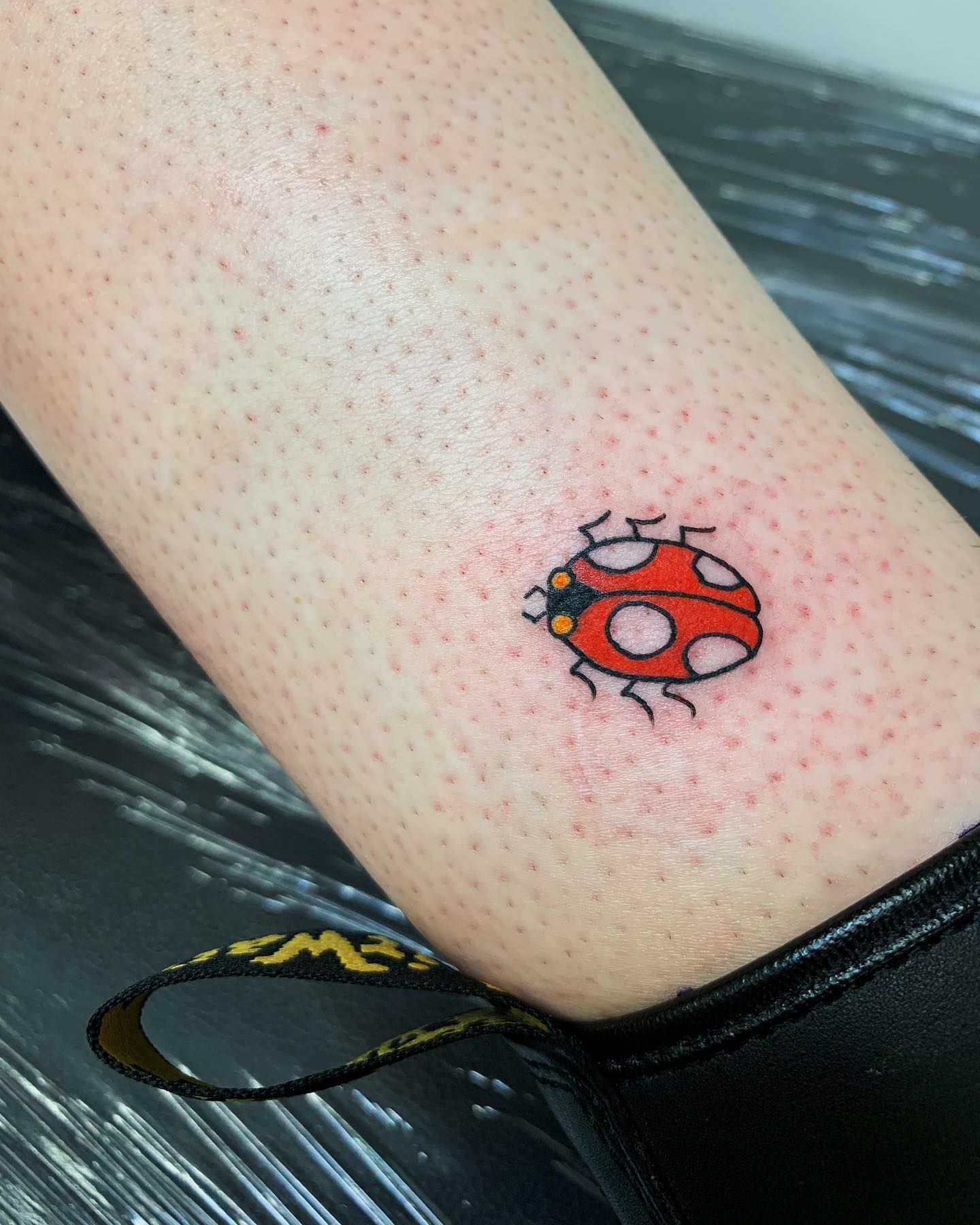 Ladybug and butterfly tattooed on the inner forearm