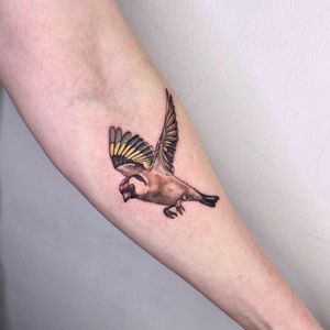 This illustrative bird tattoo on the forearm represents freedom and beauty, perfect for those in London, GB.