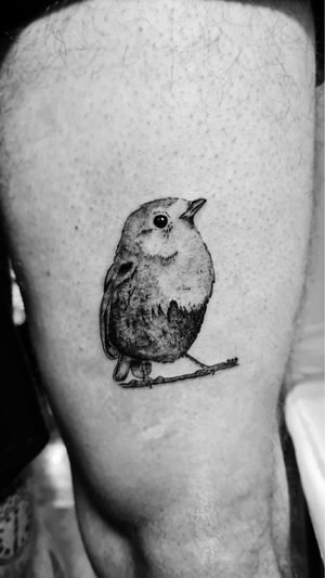Fine line black and grey robin #clean