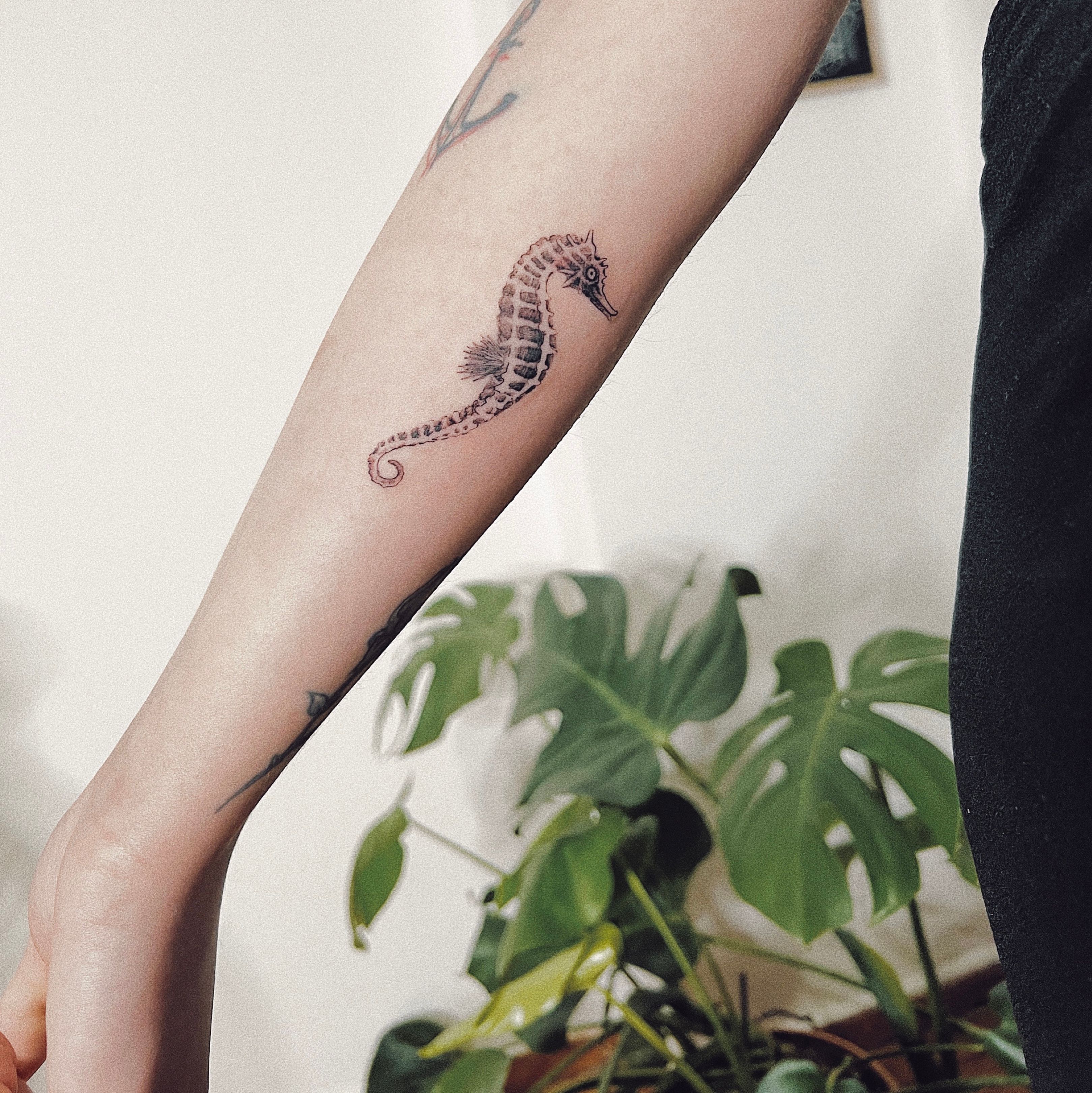 Seahorse Temporary Tattoo Sticker  OhMyTat