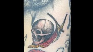 Tiny skull snail! #losangeles #orangecounty #longbeach #california #californiatattoos #wip #tattoo #tattoos #tat #tattooed #tattooer #sicktatz #supersicktatzyoudontevenknow #art #color #colortattoo #skull #snail