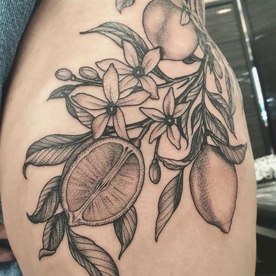 Beautiful illustration of an orange tree in blackwork style ink by tattoo artist Dani Mawby on upper leg.