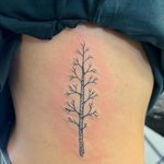 Tree tattoo on ribs #fineline #finelinetattoo #ignoranttattoo #ribtattoo #amsterdamtattoo 