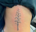Tree tattoo on ribs #fineline #finelinetattoo #ignoranttattoo #ribtattoo #amsterdamtattoo 