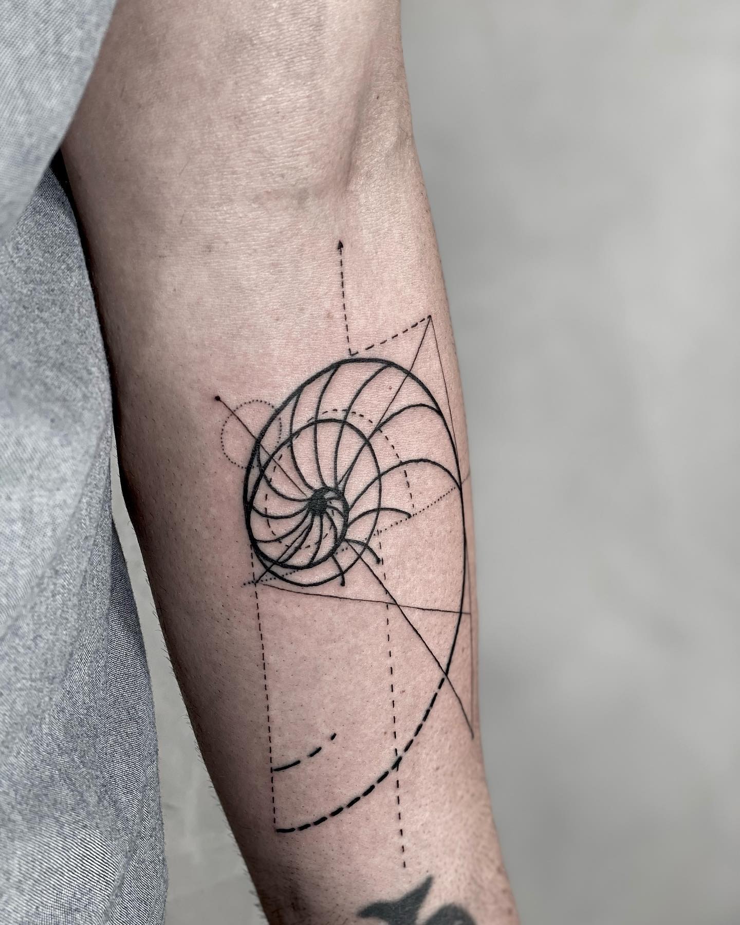 Fibonacci In Realism Tattoos Search In 1 3m Tattoos Now Tattoodo