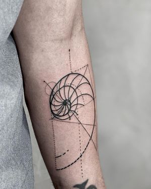 Elegant fine line and illustrative tattoo by Lawrence, featuring a captivating Fibonacci pattern design.