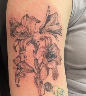 Lilys for my sister #lilys #floraltattoo #blackandgreytattoo #ink #floral #armtattoo