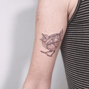 Polina's illustrative fine line bird tattoo on the upper arm, showcasing delicate and intricate details.