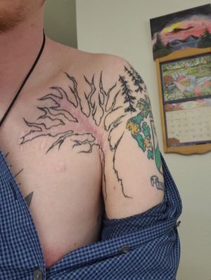 3rd, tree outline around scars