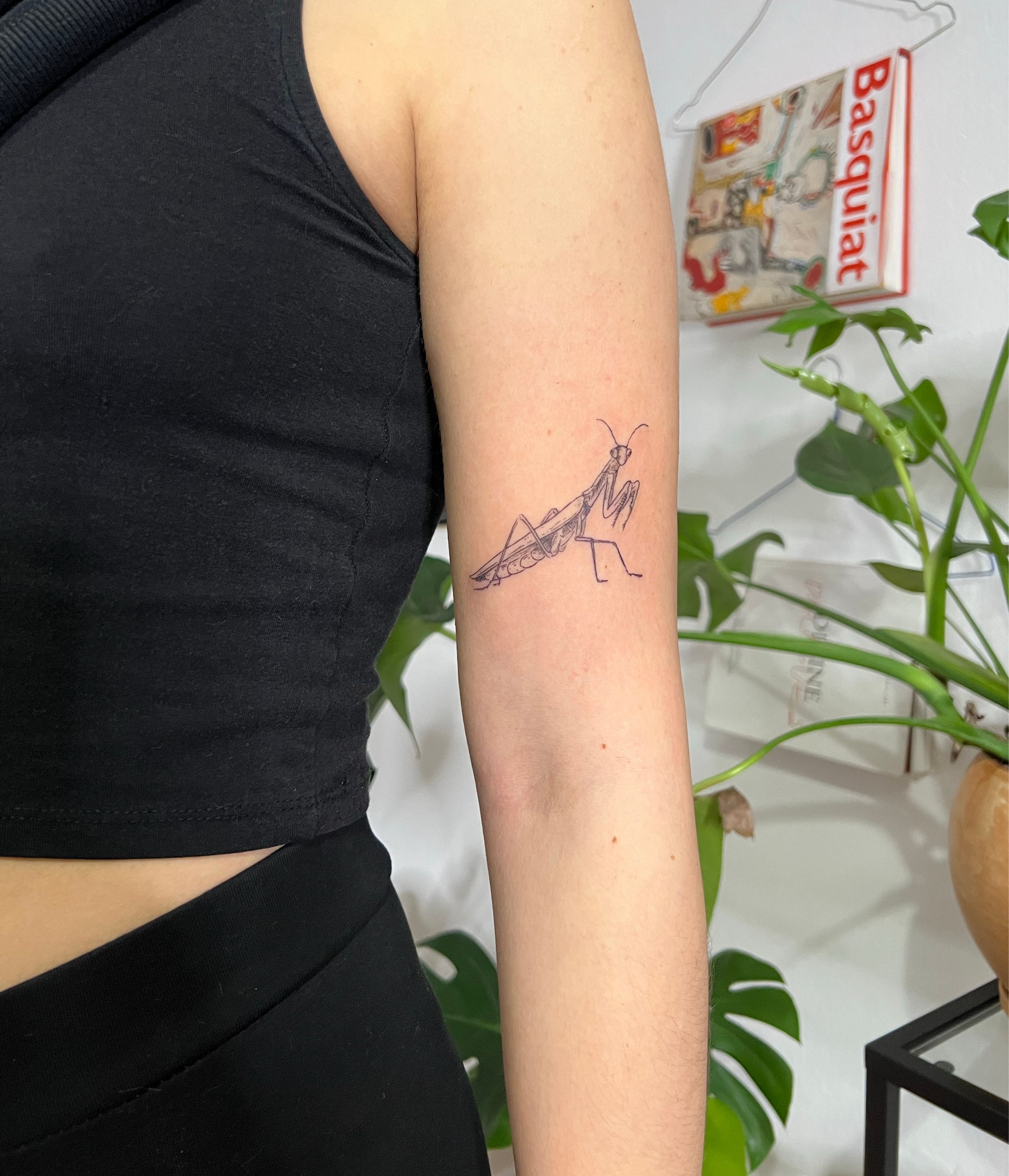 What Does Praying Mantis Tattoo Mean  Represent Symbolism
