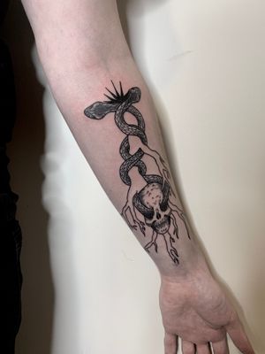 Skull & snakes tatoo