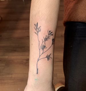 Plant tattoo