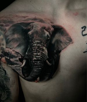 Elephants on the chest