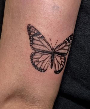 Monarch butterfly 🦋✨