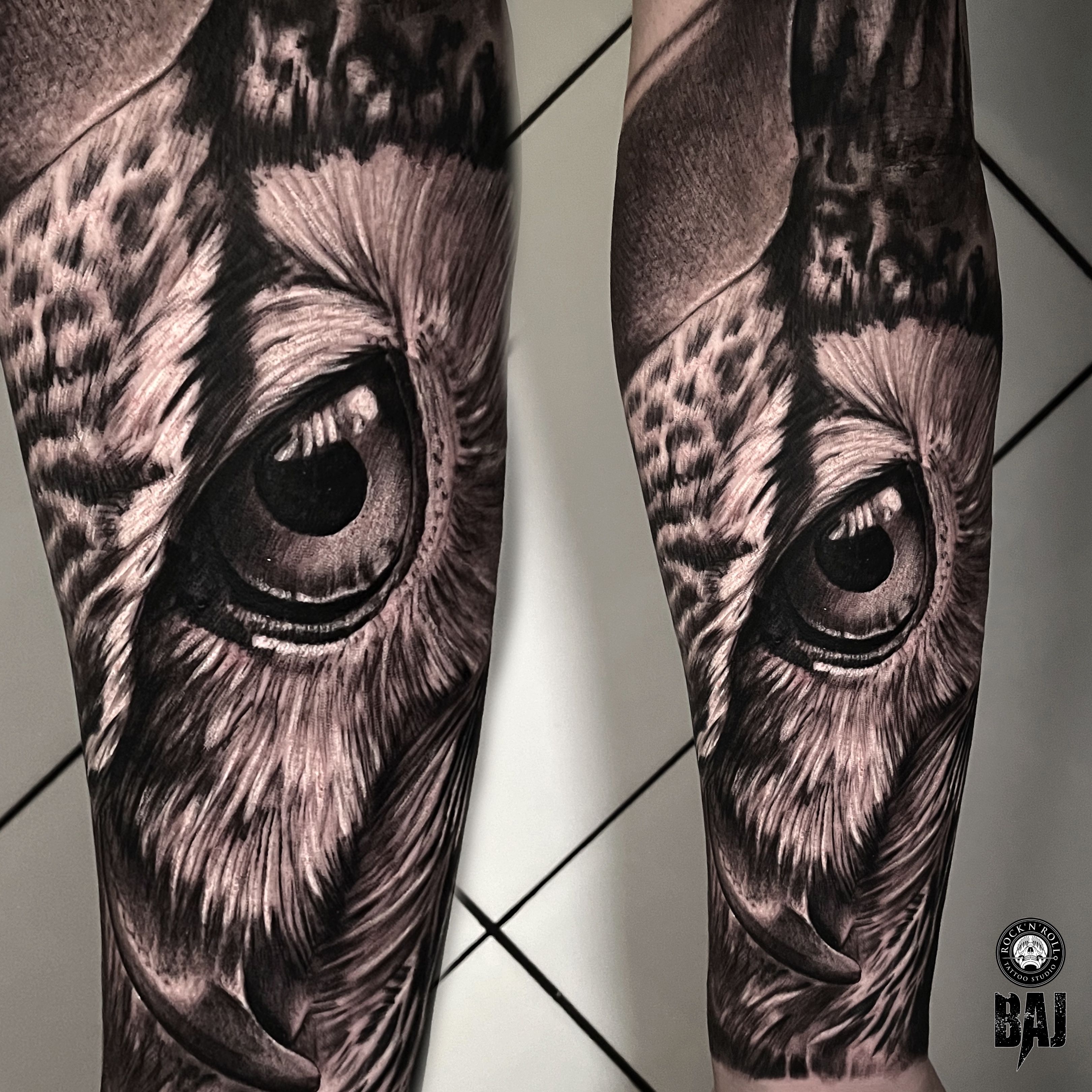 Buy Owl Eyes Owl Eyes Temporary Tattoo  Forearm Owl Eyes Tattoo Online in  India  Etsy