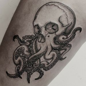 Octopus skull