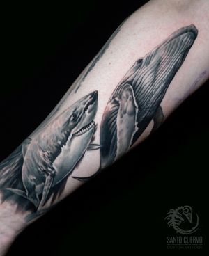 Capture the majesty of two ocean giants - a whale and shark - in stunning black and gray realism by Alex Santo.