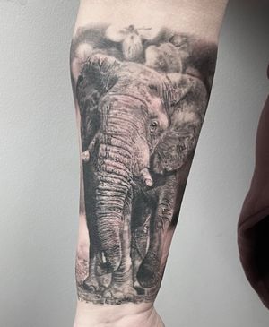 Healed Elephant by @corycooktattoo ❤️‍🔥#tattoo #tattooing #tattoos #tattooist #tatt #tattoouk #art #artwork #artist #artists #blackandgrey #blackandgreytattoo #blackandgreytattoos #bngtattoo #colour #colourtattoo #colourtattoos #realism #realismtattoo #realistic #realistictattoo #tatttooidea #tattoodo 
