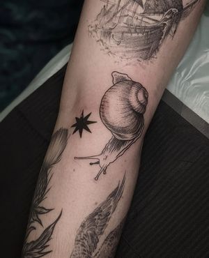 Elegant black and gray fine line tattoo of a snail and shell on the knee, created by tattoo artist Luca Salzano.