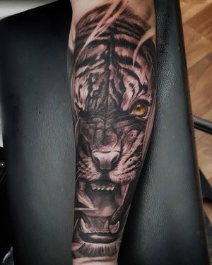 Capture the strength and elegance of a tiger with this stunning black and gray realism tattoo on your forearm by the talented artist Mauro Imperatori.