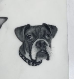 Dog portrait 