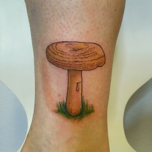 It's an orange milcap or Fichten-Reizker in German. Mushrooms are one of my favorite things to tattoo.