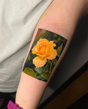 #Repost: by @corycooktattoo Rose for Lily! Thank you for trusting 🙌 . Done using @atlascartridges @worldfamousink @killerinktattoo @barber_dts . #tattoo #tattooing #tattooist #tattoos #bristol #fusionink #barberdts #killerink #tattooart #uktta #bristol #bristoltattoo #tattootime #colourtattoo #fkirons #spectraflux #rose #greywash #realism #realistictattoo #colourrealism #ink #uktattoo #art #artist #tattooidea #colourtattoo #colour #tattoostudio #tattoouk #colourrealism #rosetattoo 