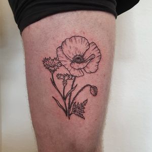 Poppy and garden cornflower in the thigh.